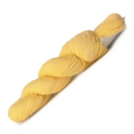 Summer Fun Socks Kit (Butter Cream 042)